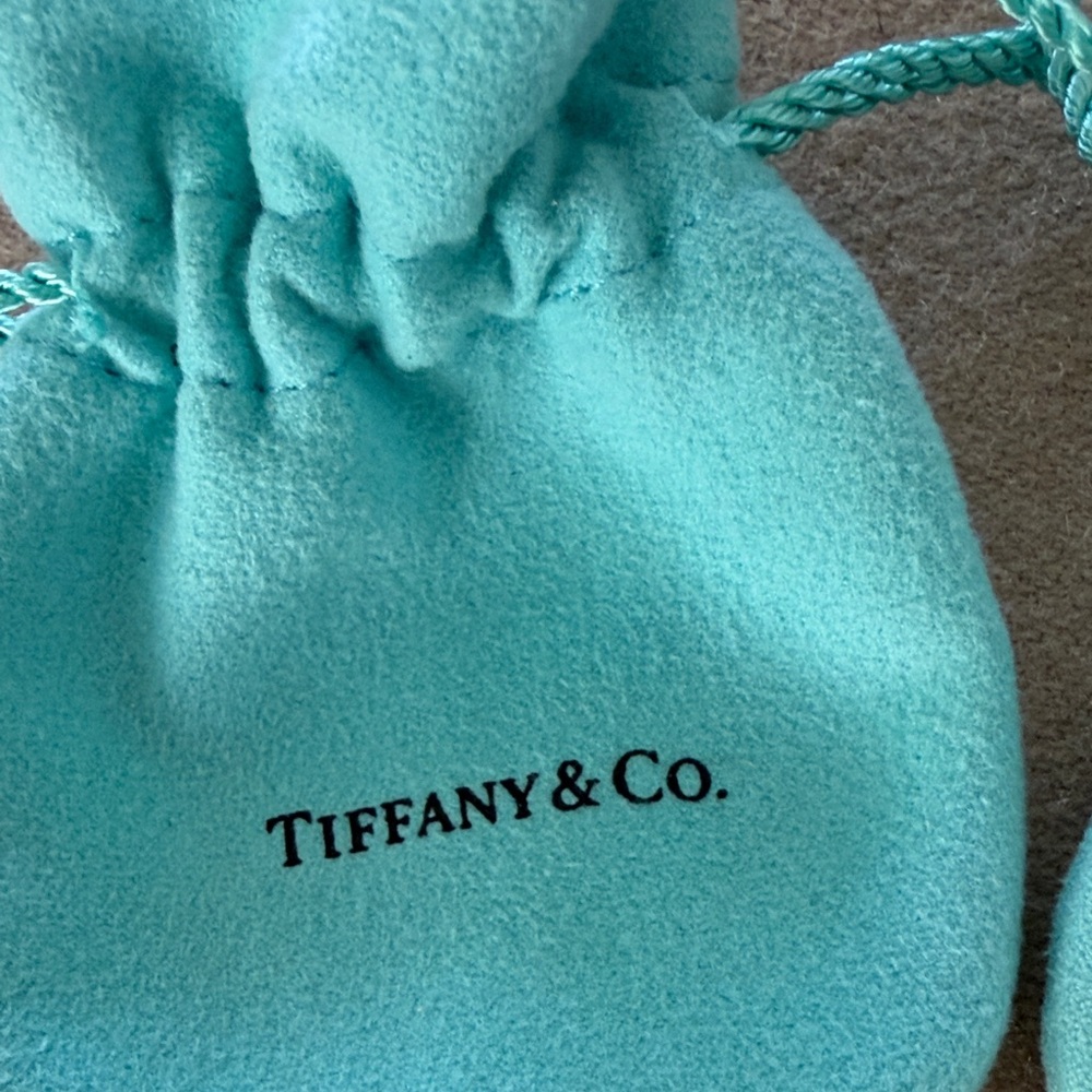 Tiffany & Co. Turquoise Drawstring Pouches - Picture 2 of 4